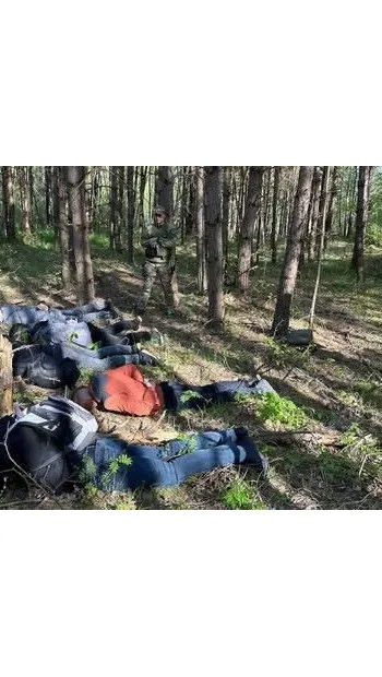 ​На Львівщині у лісі затримали п’ятьох чоловіків