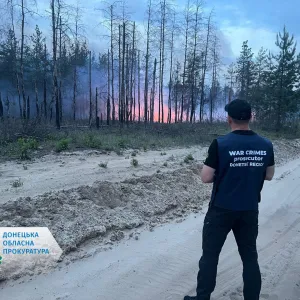 ​Окупанти підпалили лісовий масив у Лиманській ТГ – прокурори документують наслідки