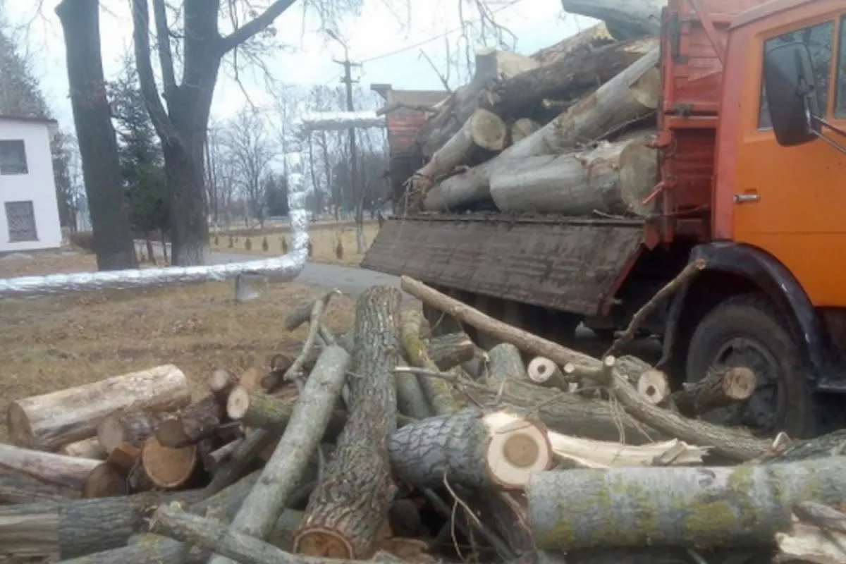 Вінничани заготували дрова для сільського ліцею