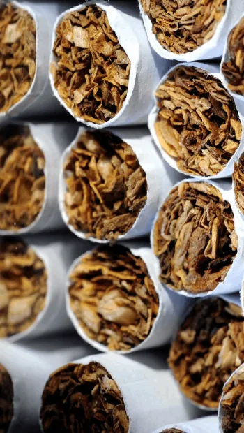 ​ Мешканцю Хмельниччини загрожує Кримінальне впровадження за незаконне виготовлення та перевезення цигарок