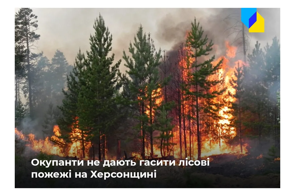 Російське вторгнення в Україну : На тимчасово окупованій Херсонщині горять ліси