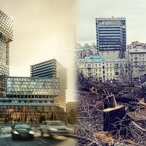 ​«Господарі Хрещатика»: хто знищив дерева в центрі Києва заради елітного будівництва