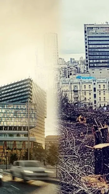 ​«Господарі Хрещатика»: хто знищив дерева в центрі Києва заради елітного будівництва