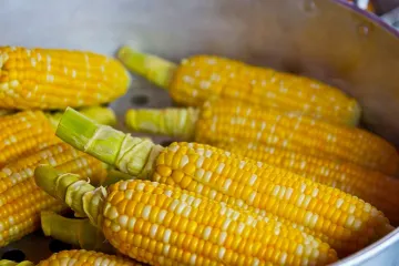 ​Спад експортного попиту спричинив зниження ціни на кукурудзу в Україні