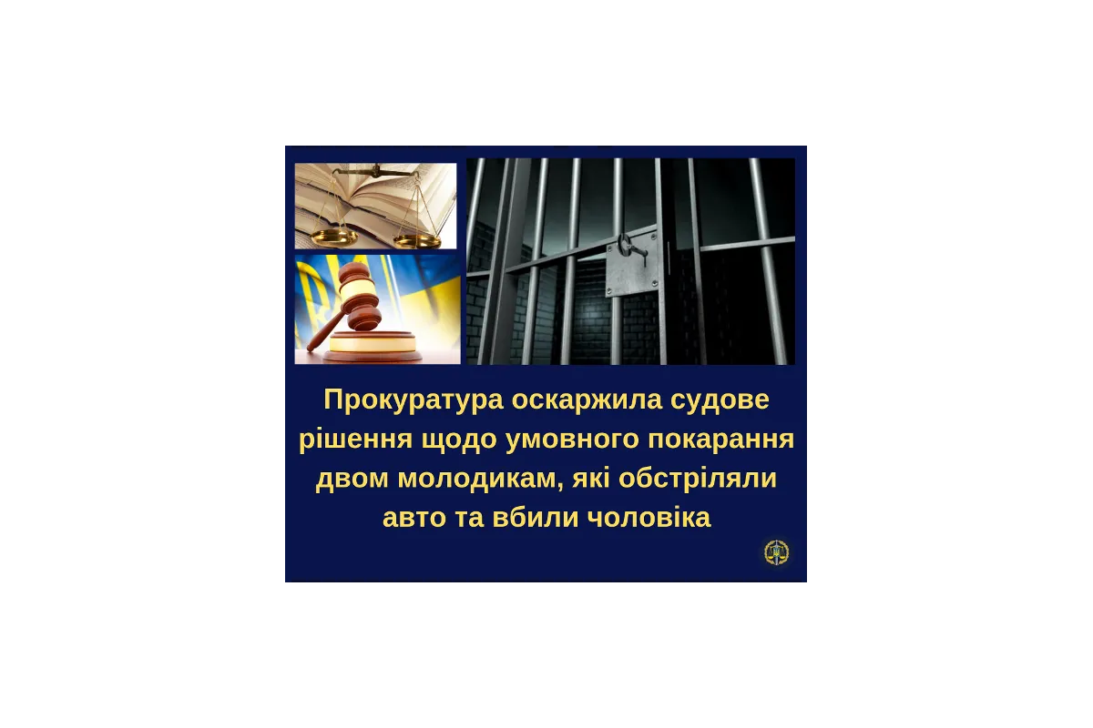 Справедливість відновлено: на Буковині ув'язнено двох молодиків за хуліганство та вбивство з необережності