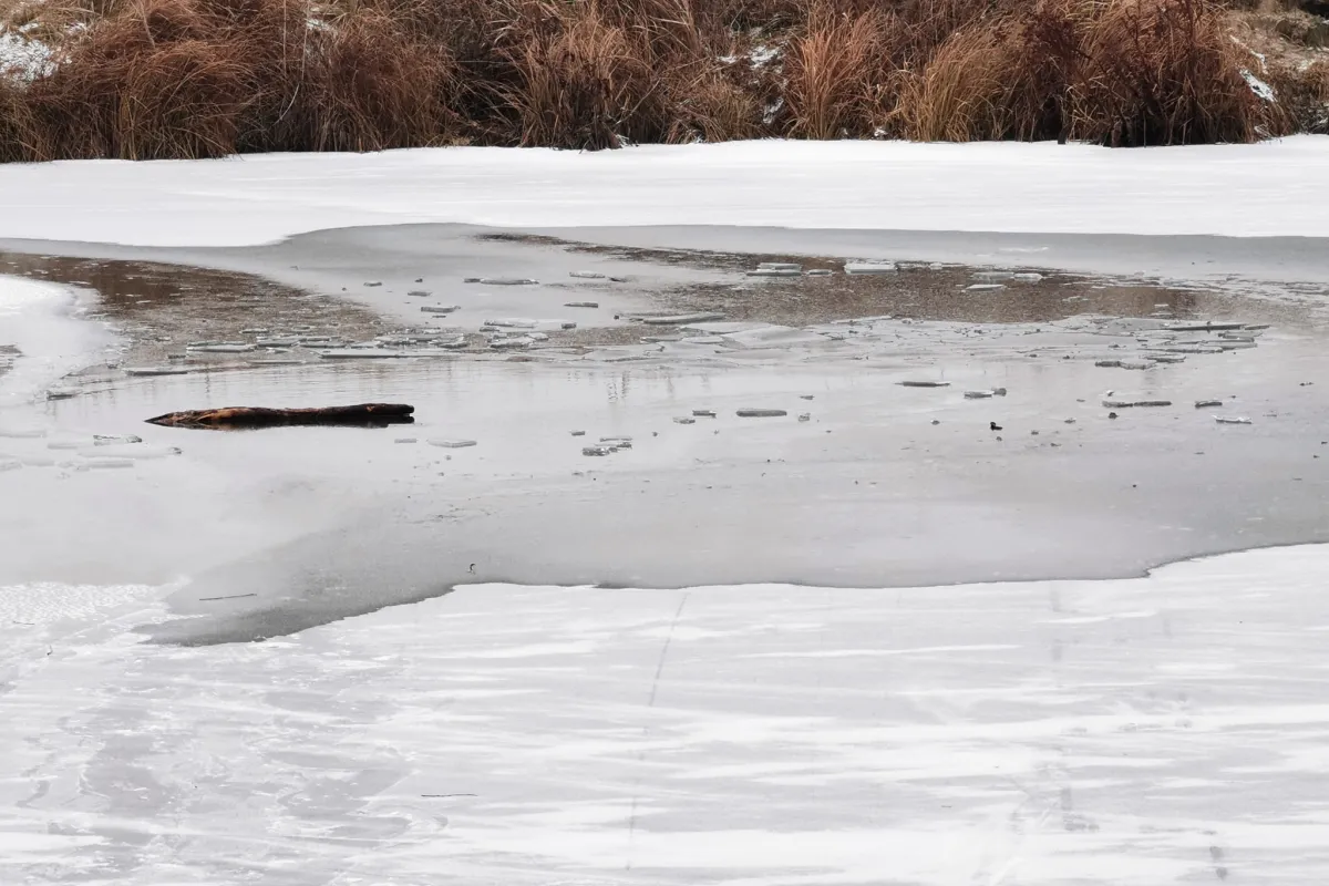 Дитина впала під лід: як рятувальники шукали дитину, якої вже давно не було в озері?