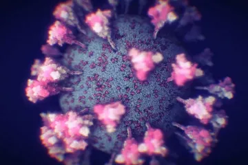 ​Появилась самая точная 3D-модель коронавируса 