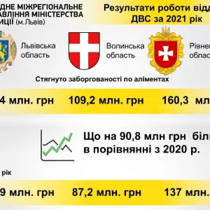 ​Торік державні виконавці Львівської, Рівненської і Волинської областей стягнули  більше півмільярда заборгованих аліментів