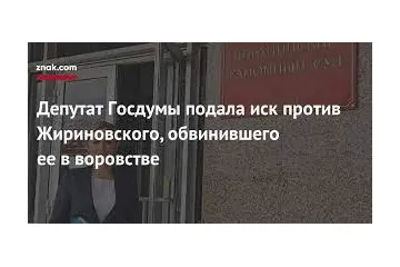 ​Депутат Госдумы подала в суд на Жириновского из-за обвинений в воровстве