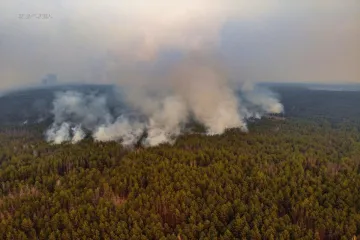​В Чернобыльской зоне продолжает гореть лес. Авиация сбросила с воздуха уже больше 370 тонн воды