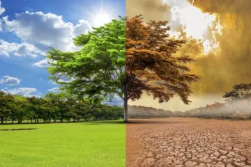 ​Пустыня вместо степи, степь вместо леса. Как изменение климата убивает украинских аграриев