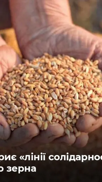 ​Єврокомісія відкриє «лінії солідарності», щоб Україна могла вивезти зерно, яке заблокувала росія