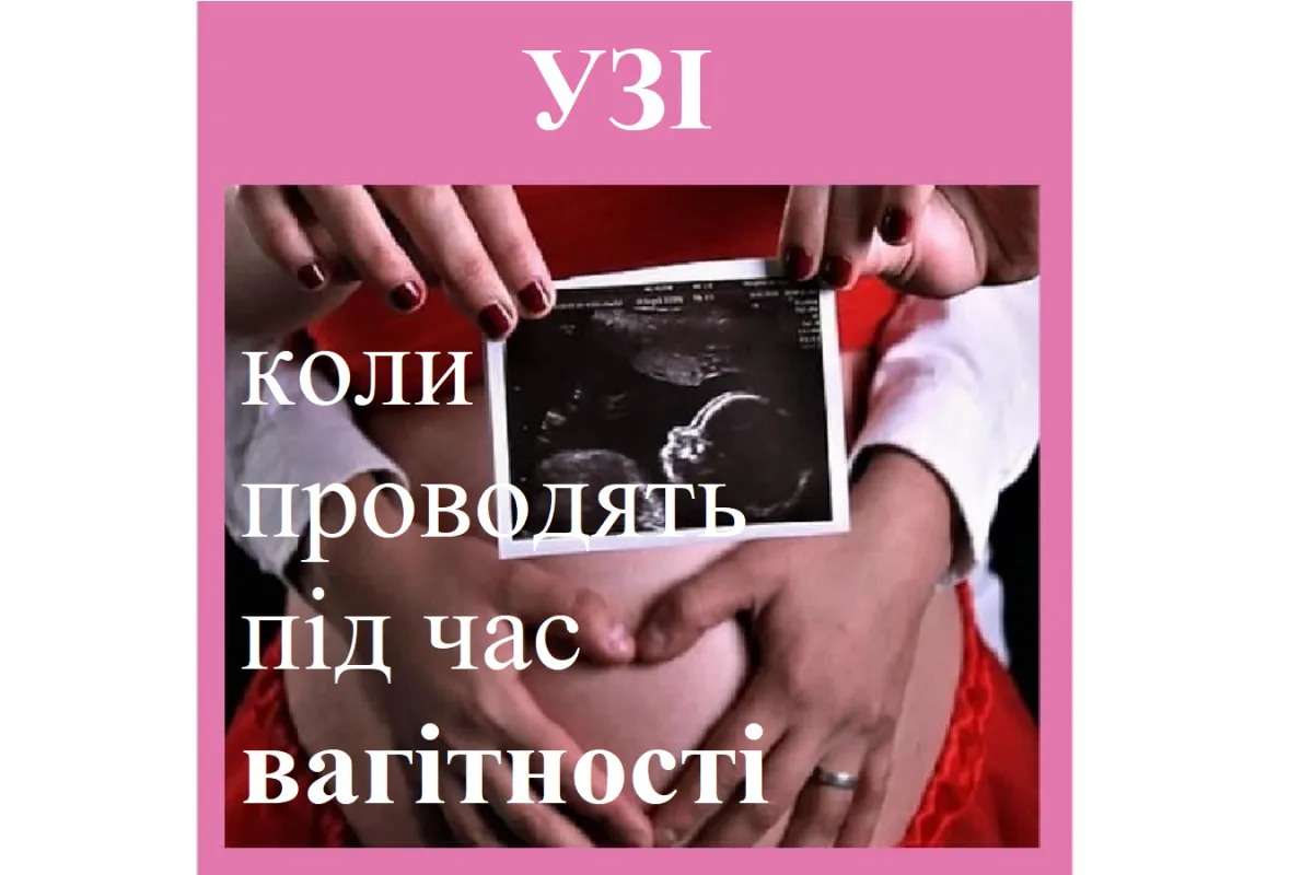 Репродуктолог Київ: УЗД (УЗІ) коли проводят під час вагітності