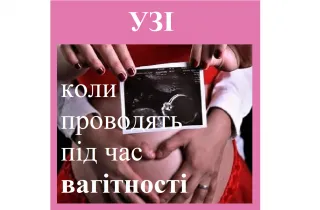 Репродуктолог Київ: УЗД (УЗІ) коли проводят під час вагітності