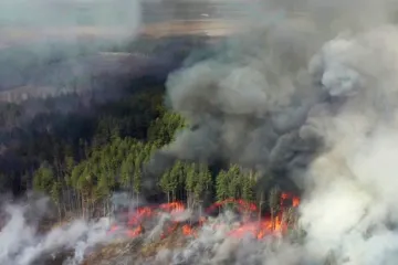 ​Сегодня дым от пожара в Чернобыльской зоне может дойти до Киева