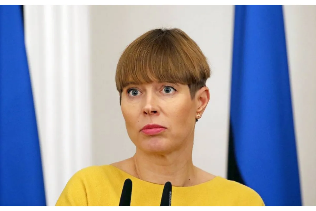 «Не советую эстонцам инвестировать в Украину!»…После рейдерства ТЦ «Скай Мол» заявила президент Эстонии Кальюлайд