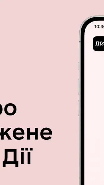 ​Російське вторгнення в Україну : Понад 76 тис. інформаційних заявок про знищення та пошкодження майна українців надійшло через «Дію»
