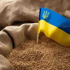 ​Польща повністю заборонила ввезення зерна та іншої агропродукції з України