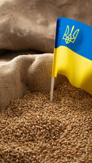 ​Польща повністю заборонила ввезення зерна та іншої агропродукції з України