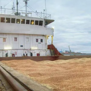 ​Експорт аграрної продукції з морських портів за тиждень зріс на 17%, — Комітет з питань аграрної та земельної політики 