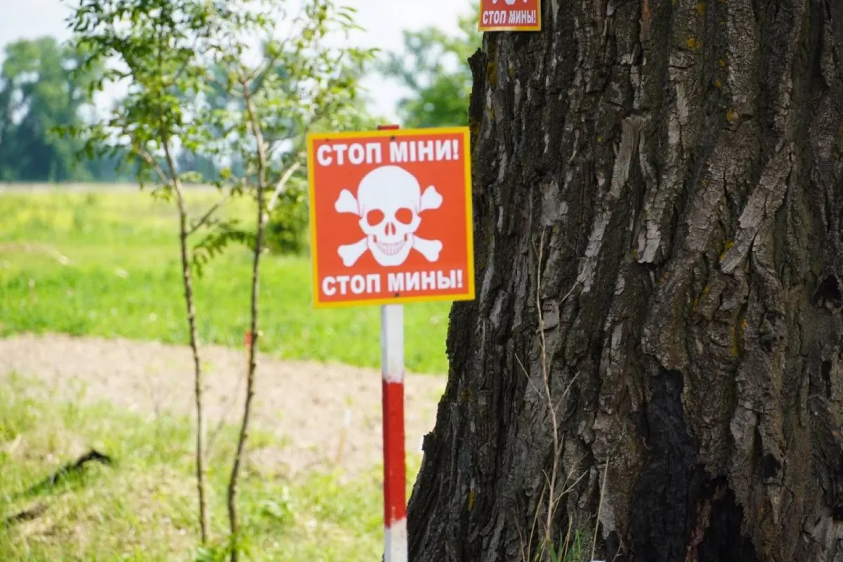 У Київській області вже знешкодили понад 52 тисячі вибухонебезпечних предметів