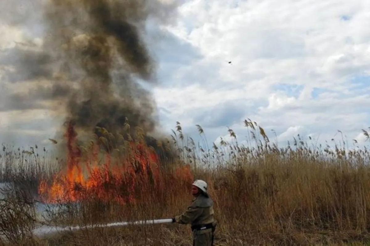 Рятувальники Херсонщини за тиждень загасили 54 пожежі в екосистемах області