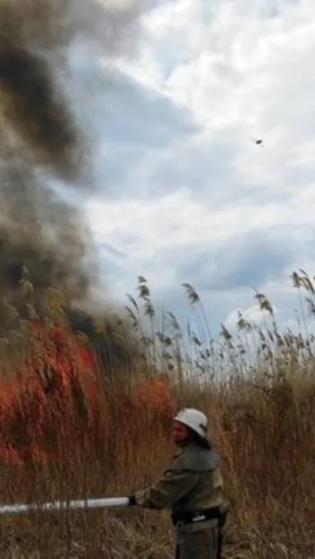 ​Рятувальники Херсонщини за тиждень загасили 54 пожежі в екосистемах області