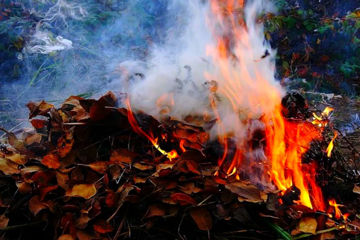 На Дніпропетровщині на любителів спалювати сухе листя чекають штрафи