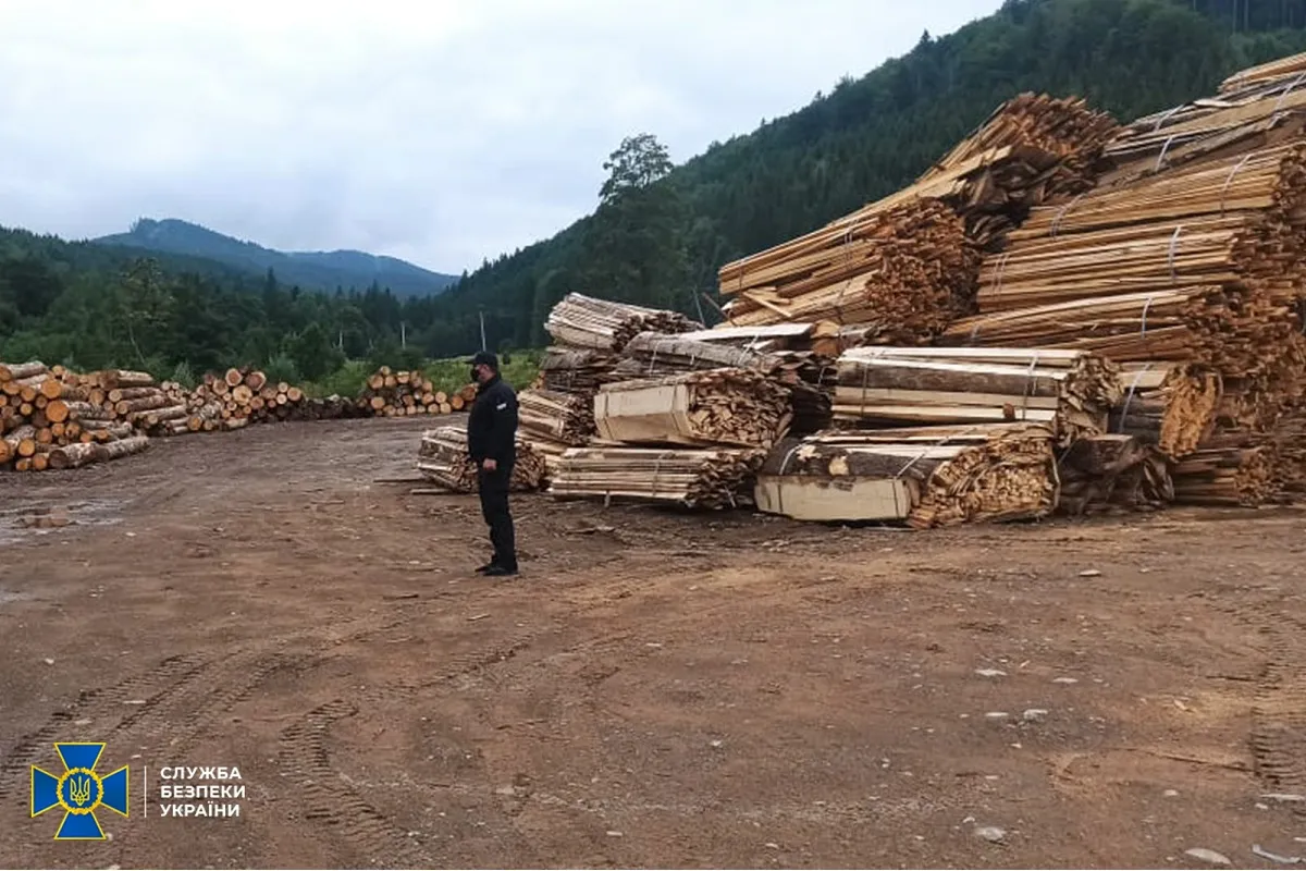 СБУ заблокувала ще одну схему збагачення чиновників на природних ресурсах: продавали ліс із заповідної зони на Буковині