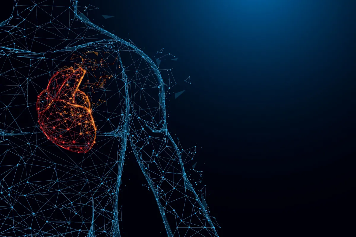 Синтетичне серце – інноваційні технології у справі 