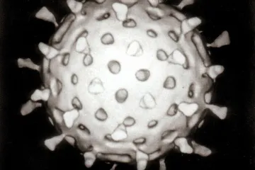 ​Чому антибіотики не лікують коронавірус? 