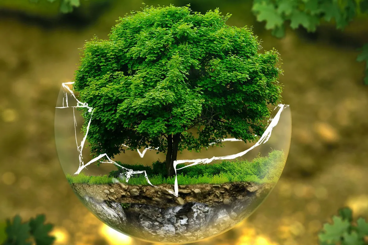 Право на безпечне довкілля: шість фактів, які потрібно знати вже зараз