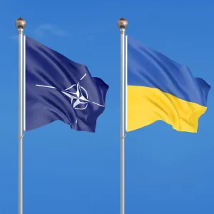 ​НАТО підтримає українську систему дистанційного виявлення мін та снарядів