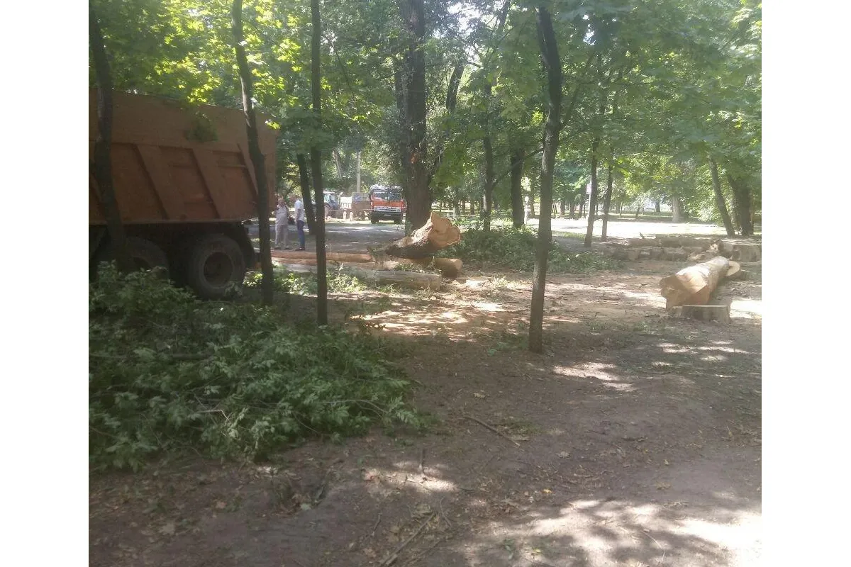 Активісти «арештували» техніку, яка пиляла дерева у парку Глоби 