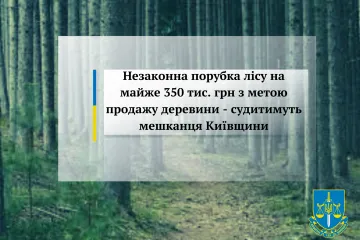 ​Незаконна порубка лісу на майже 350 тис. грн з метою продажу деревини - судитимуть мешканця Київщини