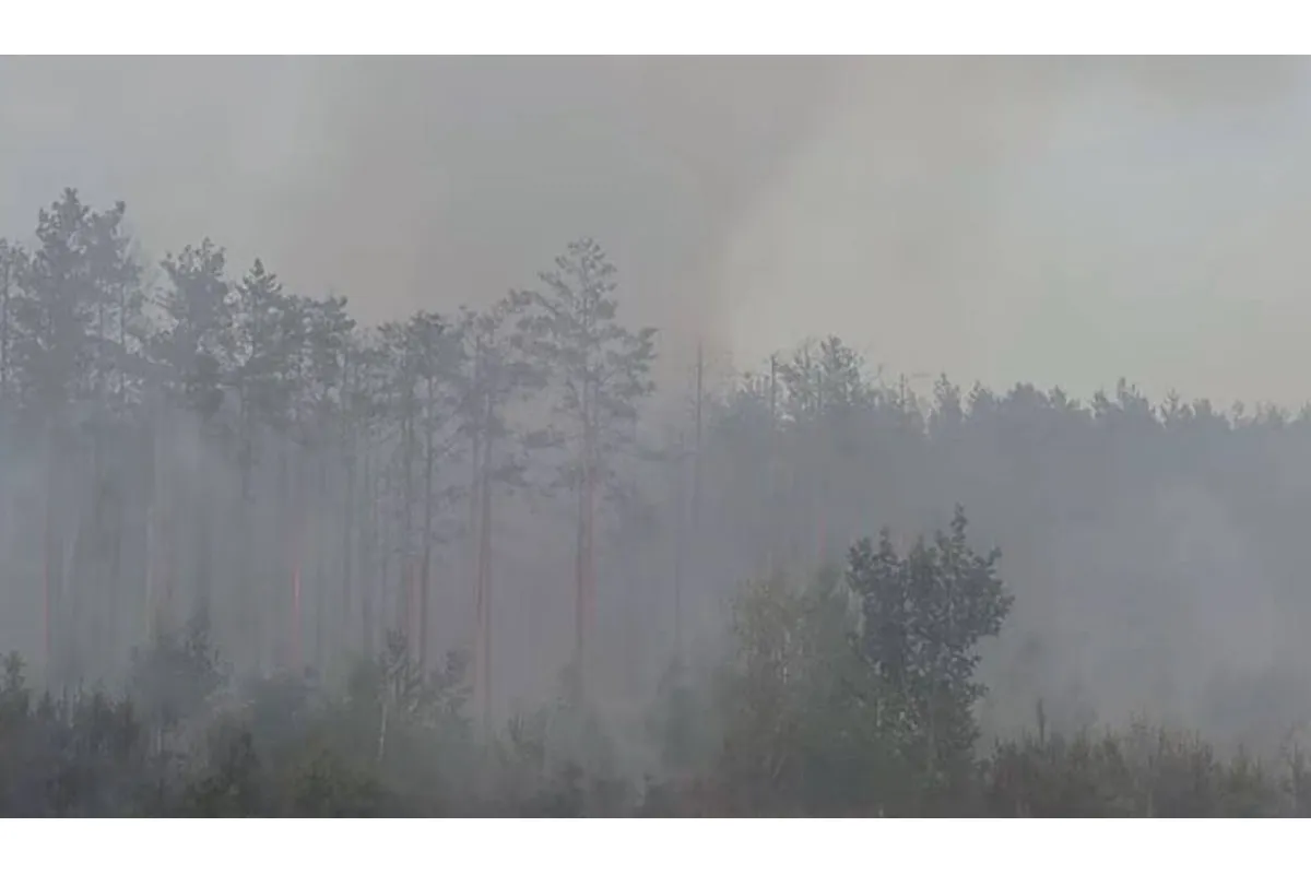 Під Києвом після ворожих обстрілів згоріло 10 гектарів лісу