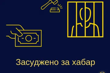 ​У Чернівецькій області до 3 років позбавлення волі засуджено інспектора з дорожнього нагляду