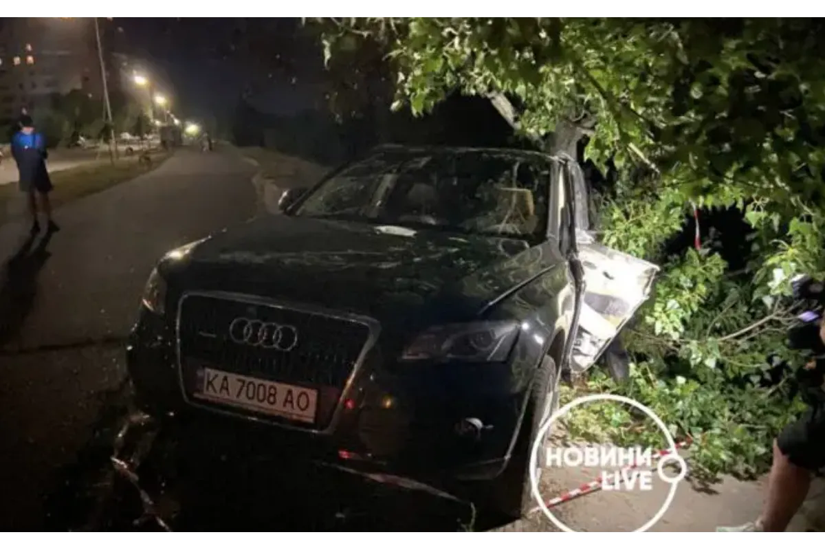 В Киеве пьяная судья за рулем Audi едва не убила прохожих и потом чуть не утонула в реке