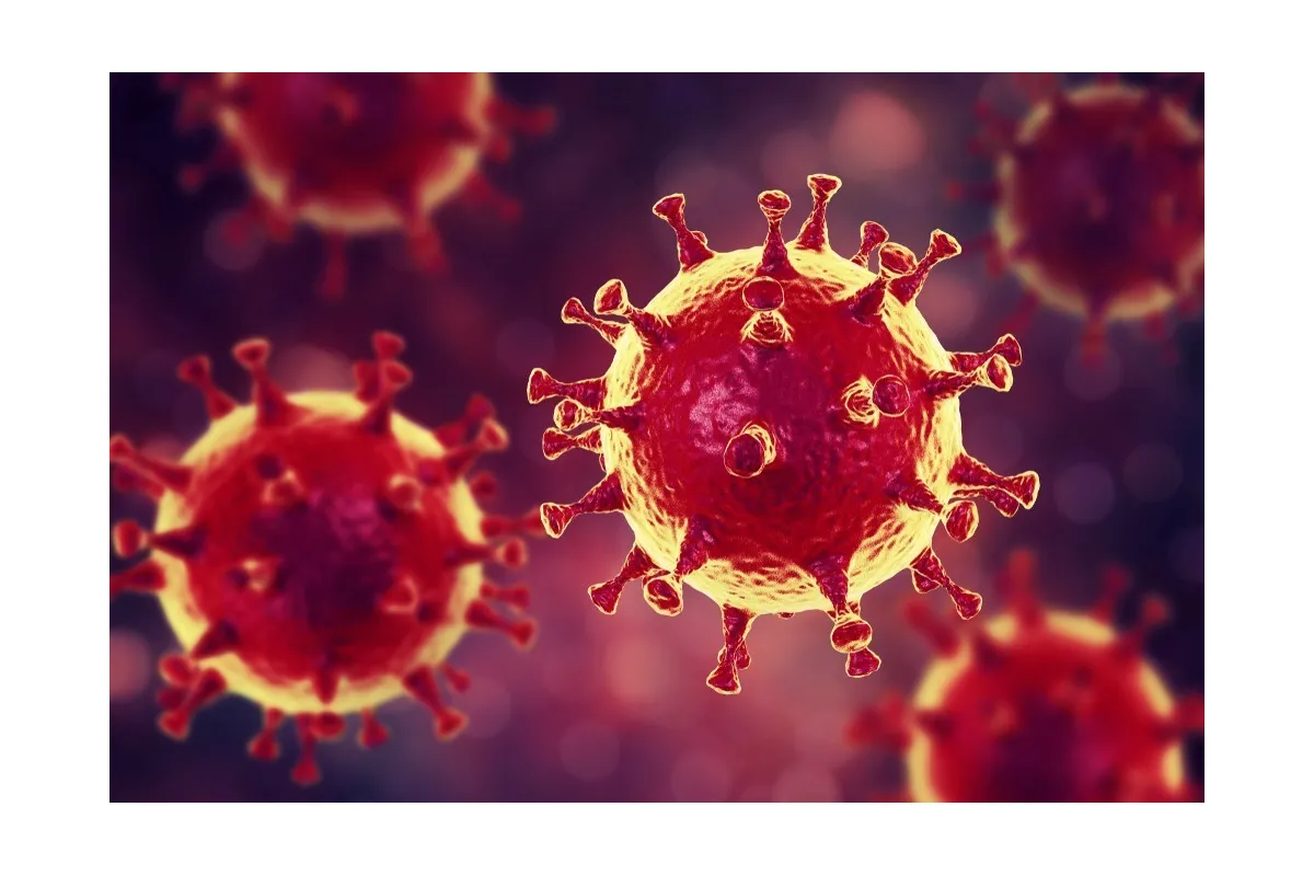 Швидкий бріф по коронавірусу: що відомо на сьогодні і чи можливо їм заразитися повторно?