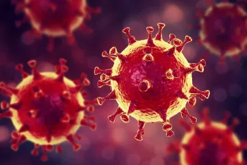 ​Швидкий бріф по коронавірусу: що відомо на сьогодні і чи можливо їм заразитися повторно?