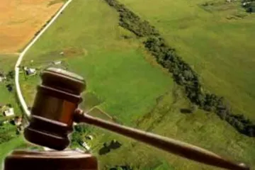 ​Прокуратура вимагає припинення права користування земельними ділянками сільськогосподарського призначення площею 73 га