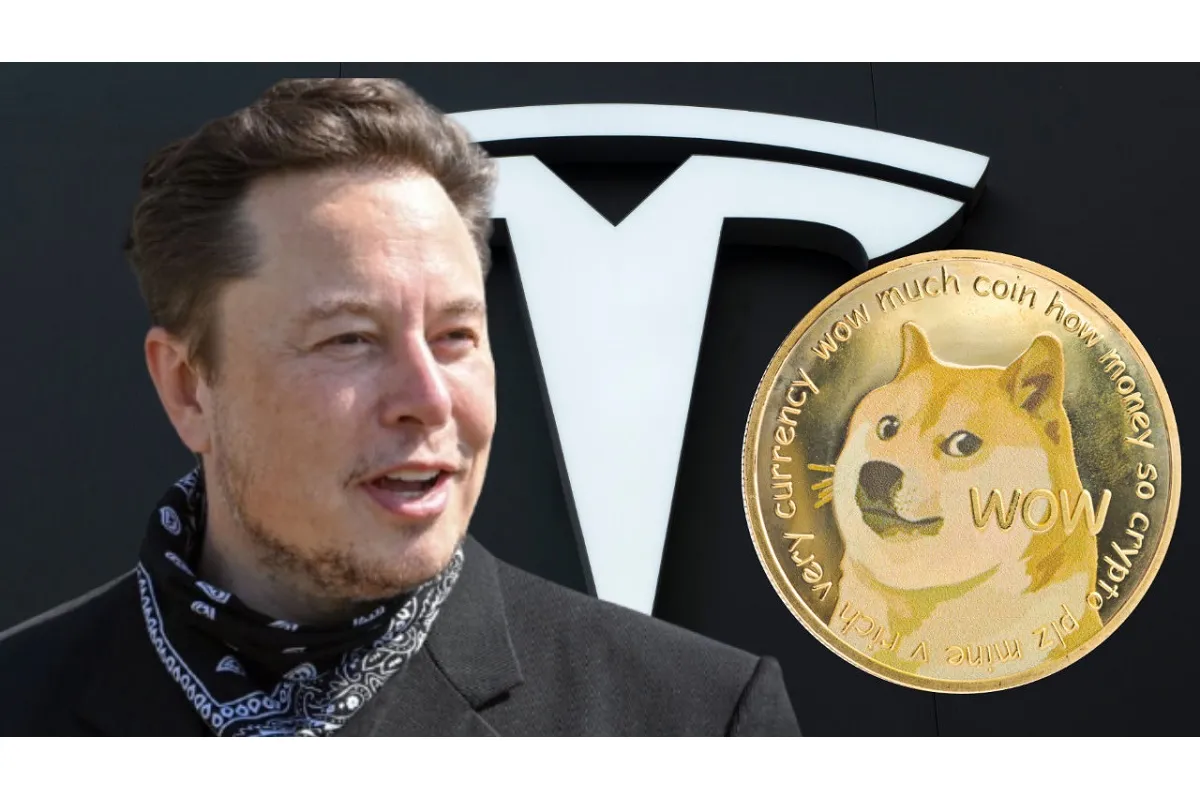 Товары Tesla за криптовалюту: атрибуты известного бренда можно купить за Dogecoin
