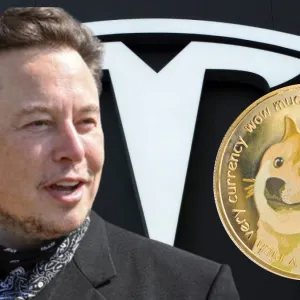 ​Товары Tesla за криптовалюту: атрибуты известного бренда можно купить за Dogecoin