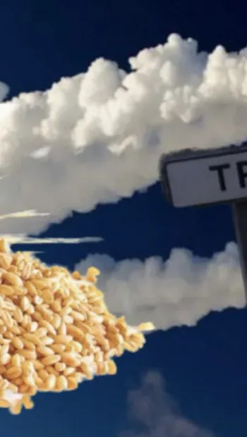 ​Люди проти зерна: страх перед роботою зернового підприємства змусив мешканців Требухова шукати допомоги в поліції