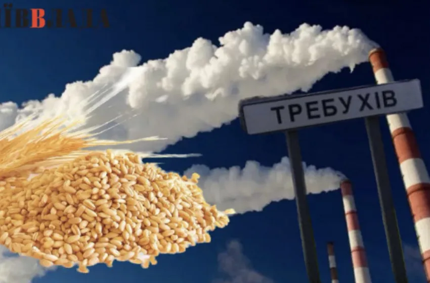 Люди проти зерна: страх перед роботою зернового підприємства змусив мешканців Требухова шукати допомоги в поліції