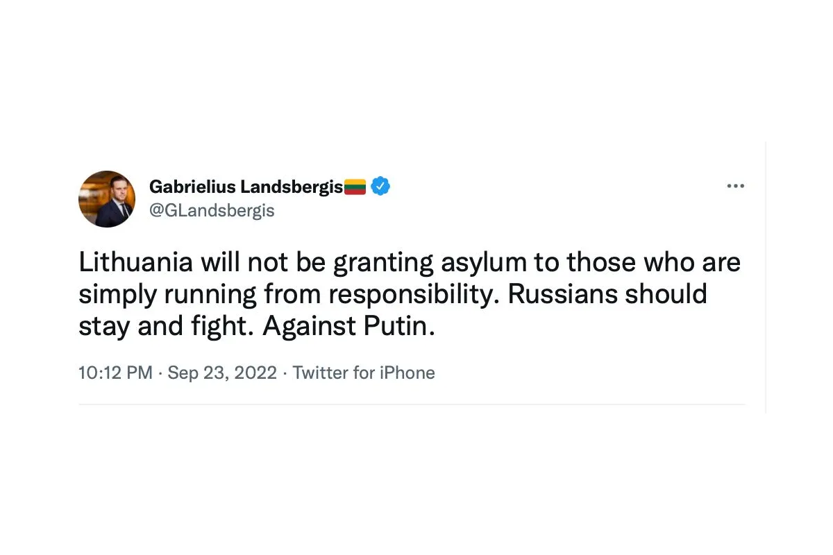 Міністр закордонних справ Литви Габріеліус Ландсбергіс заявив, що країна не надаватиме притулок тим, хто просто тікає від відповідальності