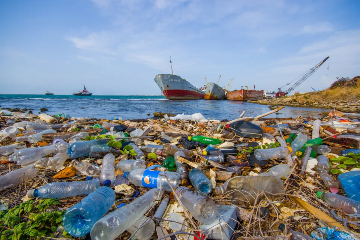 Пластик становить 85 відсотків сміття в океані