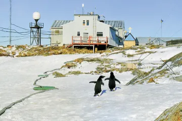 ​Склад 25-ї Української антарктичної експедиції буде наймолодшим за всі роки