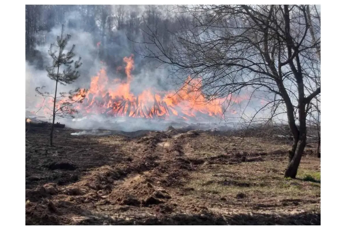 У Чорнобилі третій день триває пожежа: вогонь намагаються приборкати за допомогою авіації