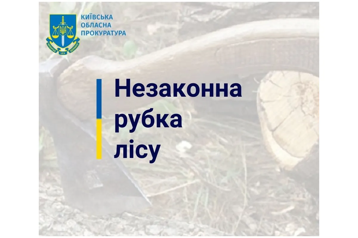 Незаконна порубка дерев у захисних лісових насадженнях зі збитками 200 тис грн – судитимуть мешканця Київщини